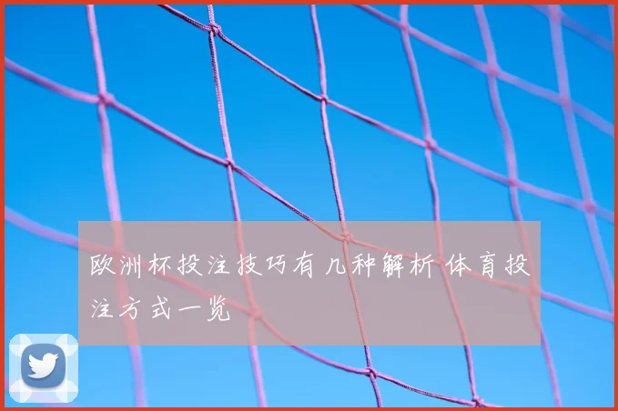 欧洲杯投注技巧有几种解析 体育投注方式一览