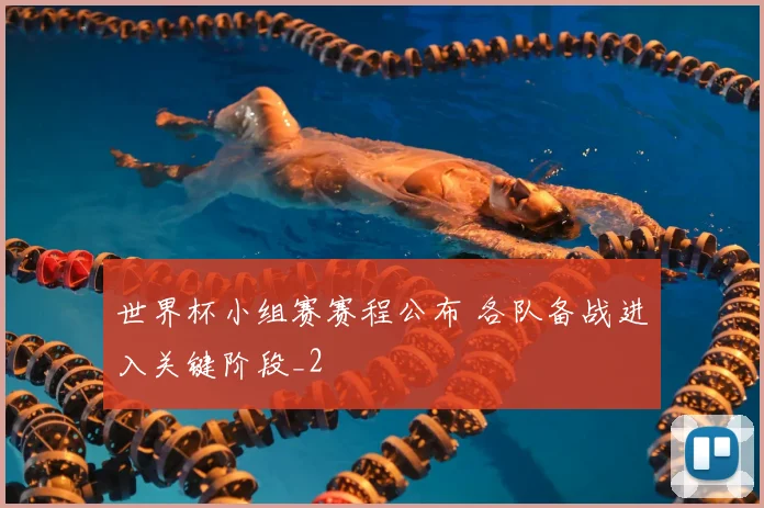 世界杯小组赛赛程公布 各队备战进入关键阶段_2