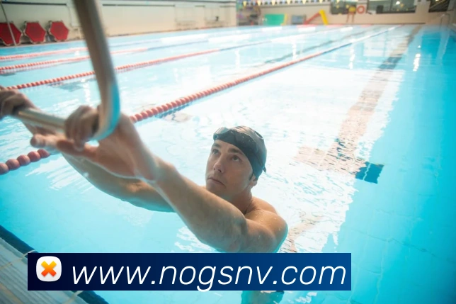 世界杯体育app官网发展历程