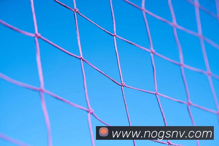 96年欧洲杯参赛队名单盘点 德法英荷西葡齐聚看点十足